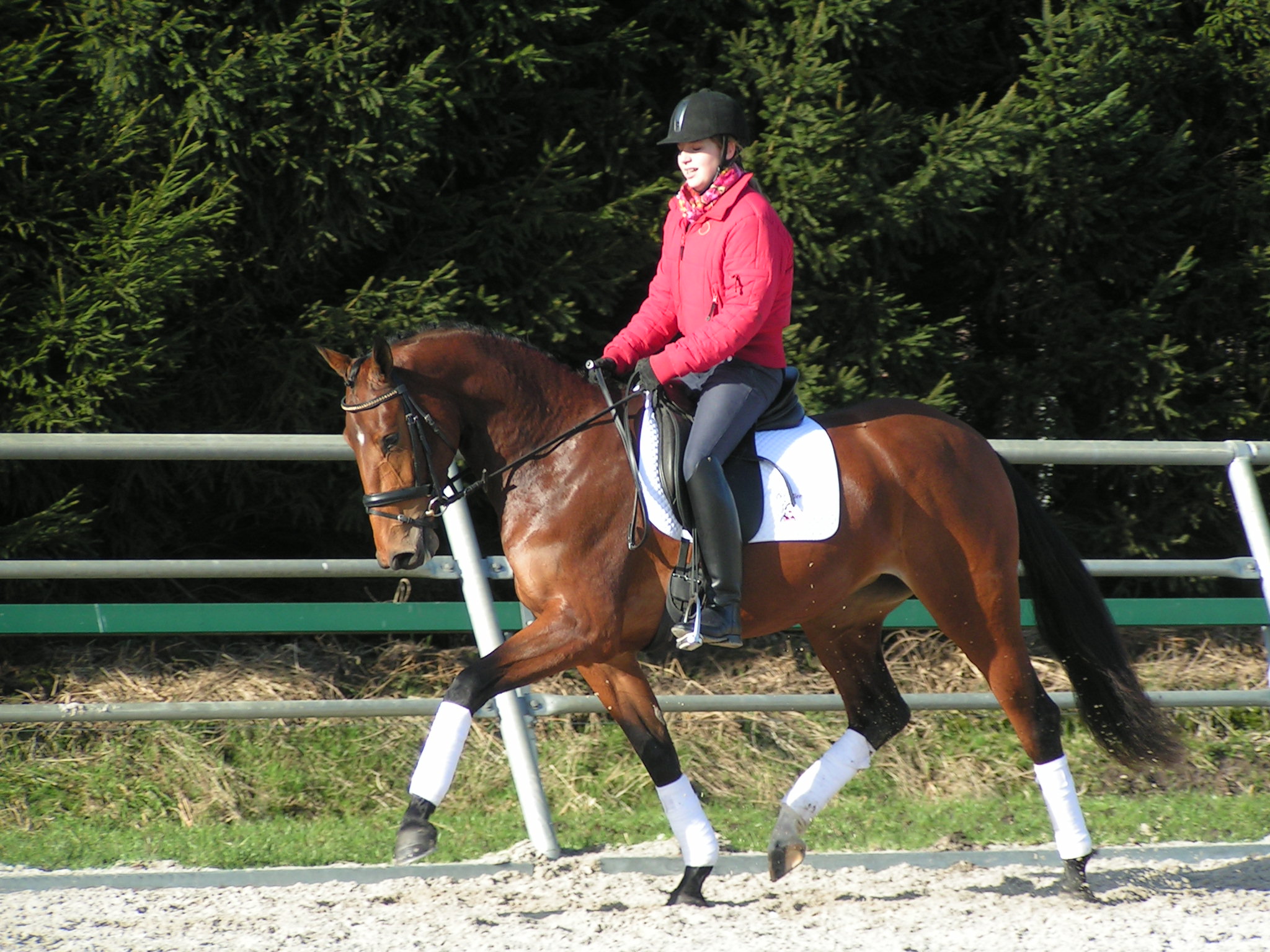 Riskeren verkrachting Groene bonen Stal "De Gorseweide", paardenpension te Elshout